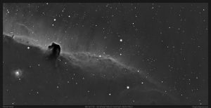 Read more about the article Barnard 33 – Horsehead Nebula