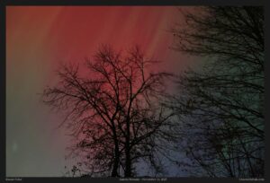 Read more about the article The Spectacular Aurora Display of November 11th, 2025